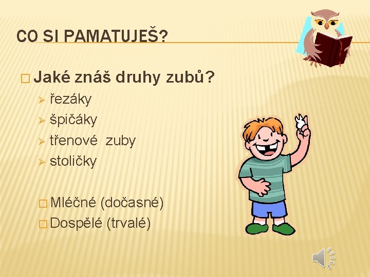 CO SI PAMATUJEŠ? � Jaké znáš druhy zubů? řezáky Ø špičáky Ø třenové zuby