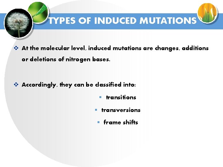 TYPES OF INDUCED MUTATIONS v At the molecular level, induced mutations are changes, additions