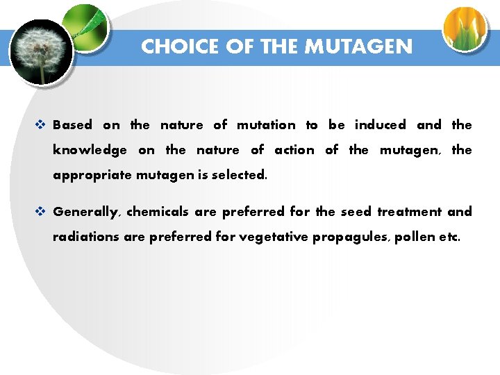 CHOICE OF THE MUTAGEN v Based on the nature of mutation to be induced