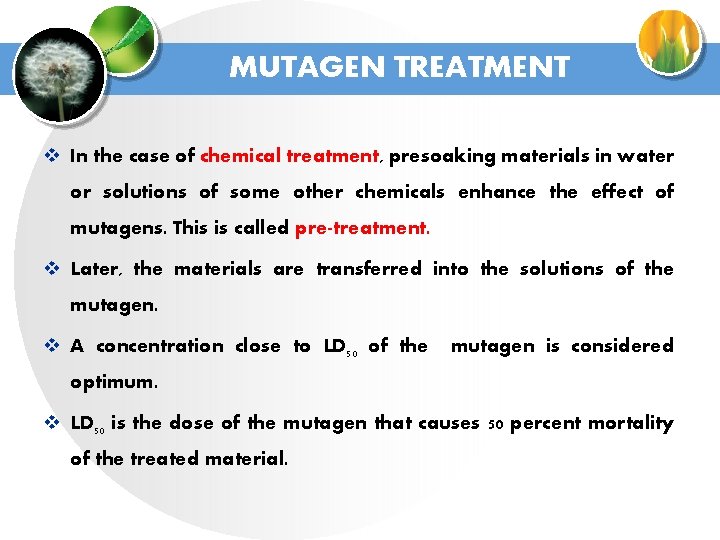 MUTAGEN TREATMENT v In the case of chemical treatment, presoaking materials in water or