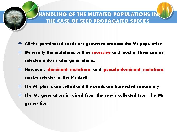 HANDLING OF THE MUTATED POPULATIONS IN THE CASE OF SEED PROPAGATED SPECIES v All