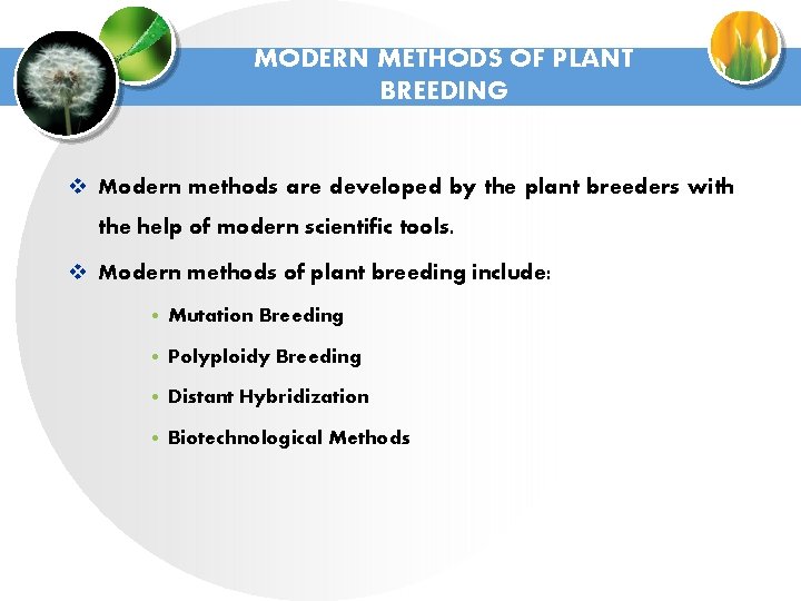 MODERN METHODS OF PLANT BREEDING v Modern methods are developed by the plant breeders