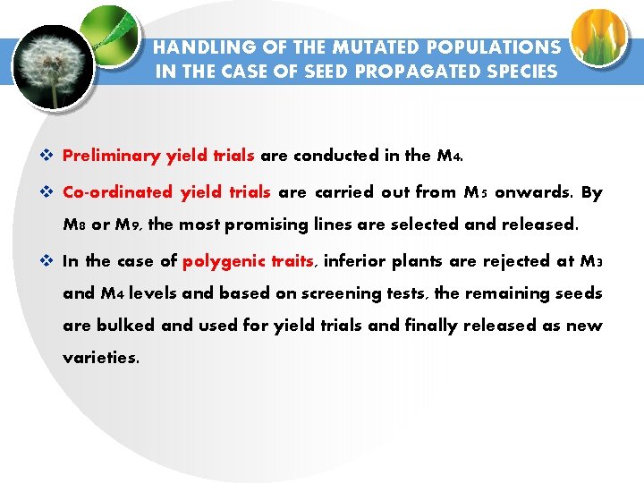HANDLING OF THE MUTATED POPULATIONS IN THE CASE OF SEED PROPAGATED SPECIES v Preliminary