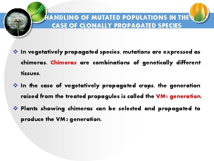 HANDLING OF MUTATED POPULATIONS IN THE CASE OF CLONALLY PROPAGATED SPECIES v In vegetatively