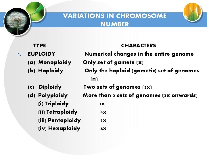 VARIATIONS IN CHROMOSOME NUMBER 1. TYPE EUPLOIDY (a) Monoploidy (b) Haploidy CHARACTERS Numerical changes