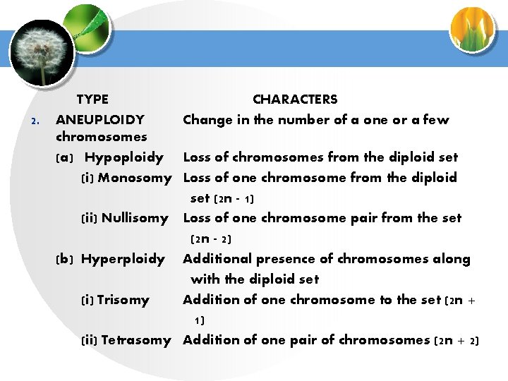 2. TYPE CHARACTERS ANEUPLOIDY Change in the number of a one or a few