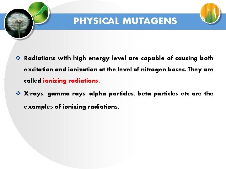 PHYSICAL MUTAGENS v Radiations with high energy level are capable of causing both excitation