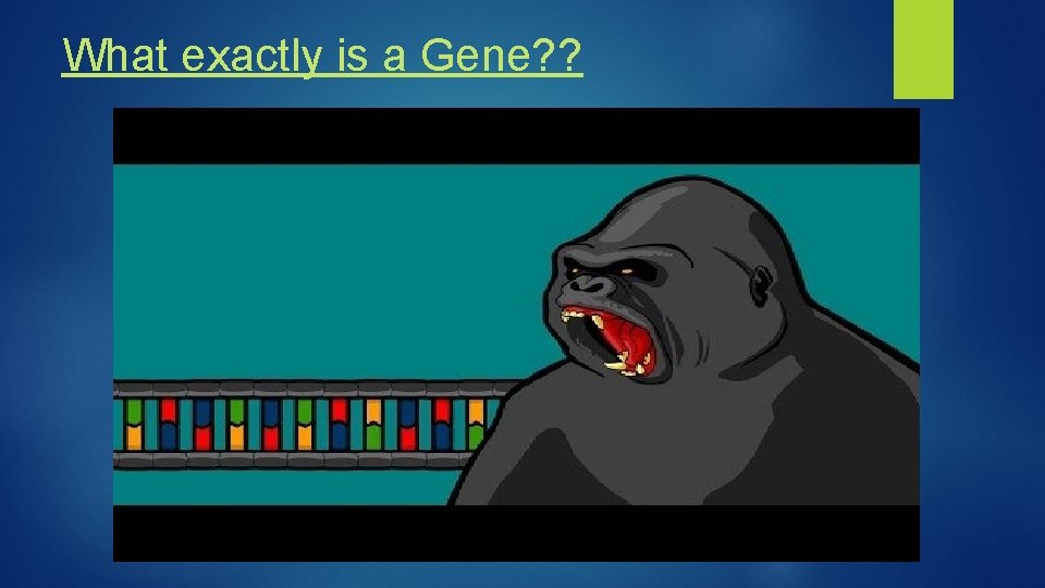 What exactly is a Gene? ? 