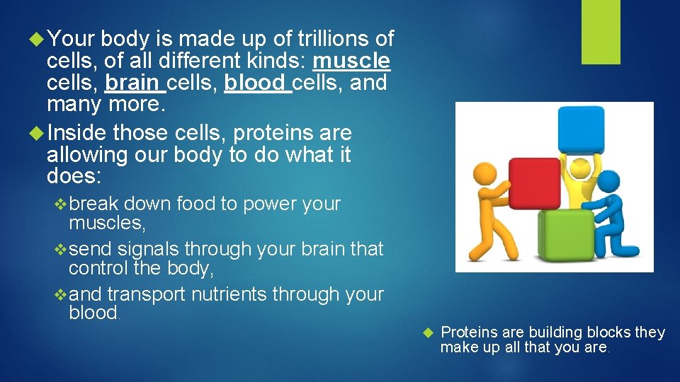  Your body is made up of trillions of cells, of all different kinds: