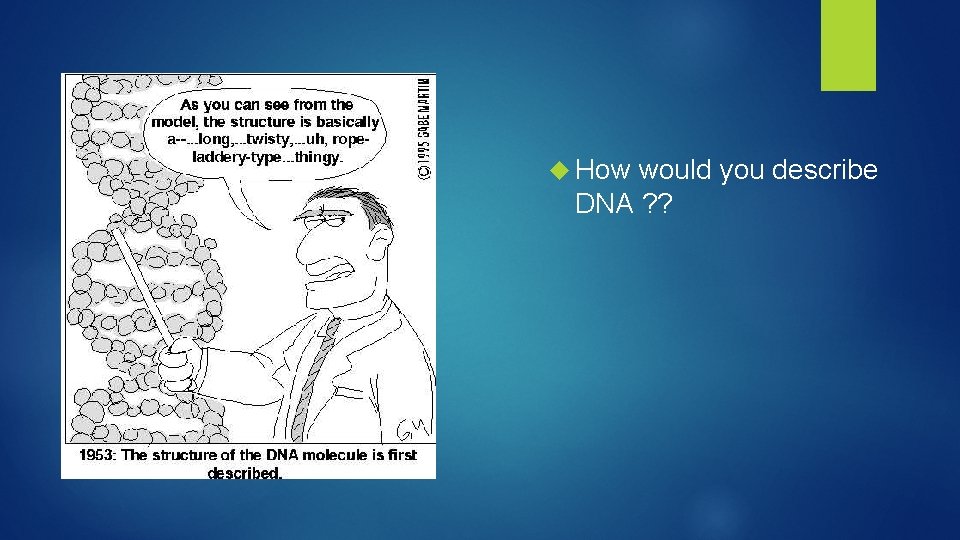  How would you describe DNA ? ? 