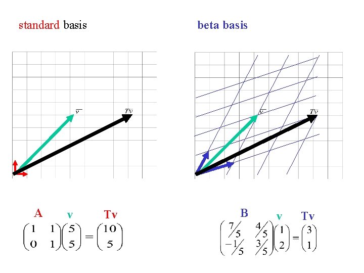 standard basis A v beta basis Tv B v Tv 