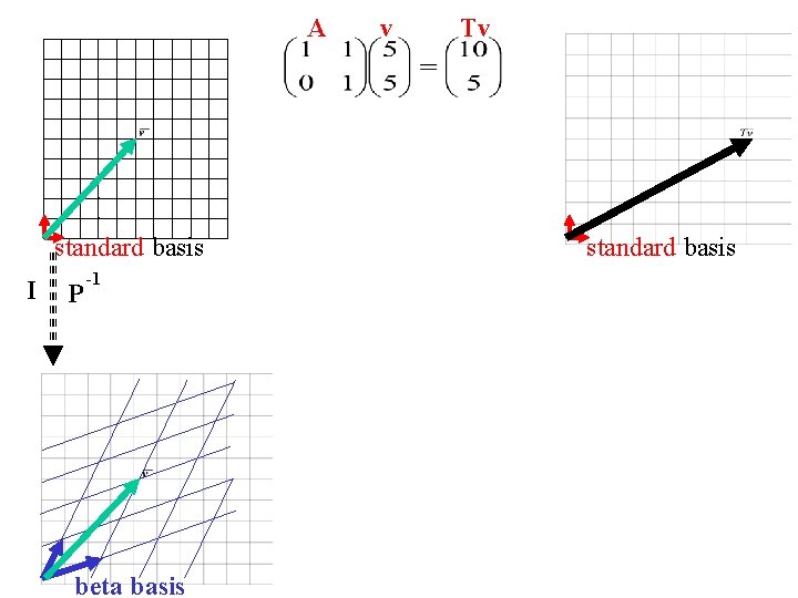A standard basis I P -1 beta basis v Tv standard basis 