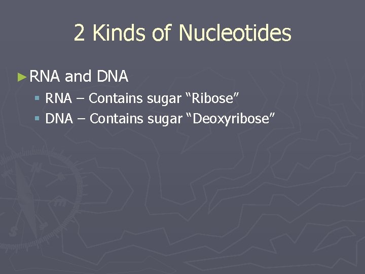 2 Kinds of Nucleotides ► RNA and DNA § RNA – Contains sugar “Ribose”