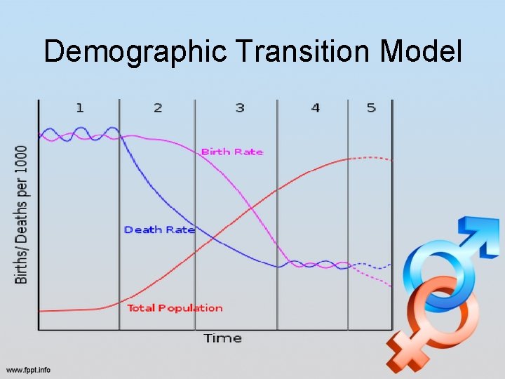 Demographic Transition Model  Demographic Transition Model