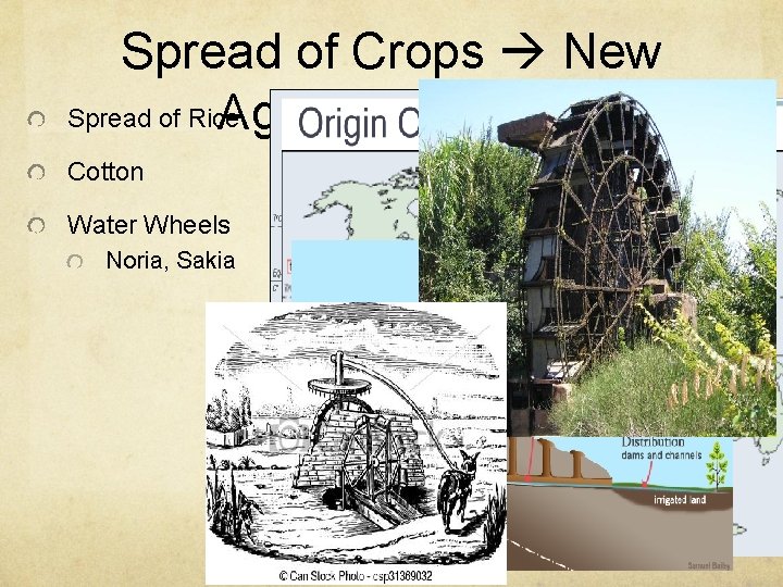 Spread of Crops New Spread of Rice Ag. Techniques Cotton Water Wheels Noria, Sakia