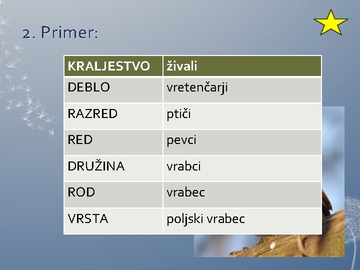 2. Primer: KRALJESTVO živali DEBLO vretenčarji RAZRED ptiči RED pevci DRUŽINA vrabci ROD vrabec