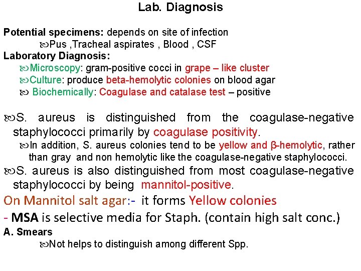 Lab. Diagnosis Potential specimens: depends on site of infection Pus , Tracheal aspirates ,