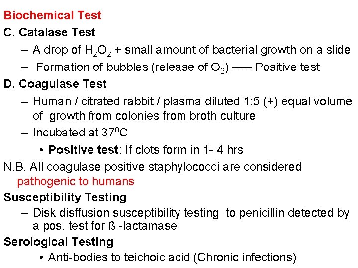 Biochemical Test C. Catalase Test – A drop of H 2 O 2 +