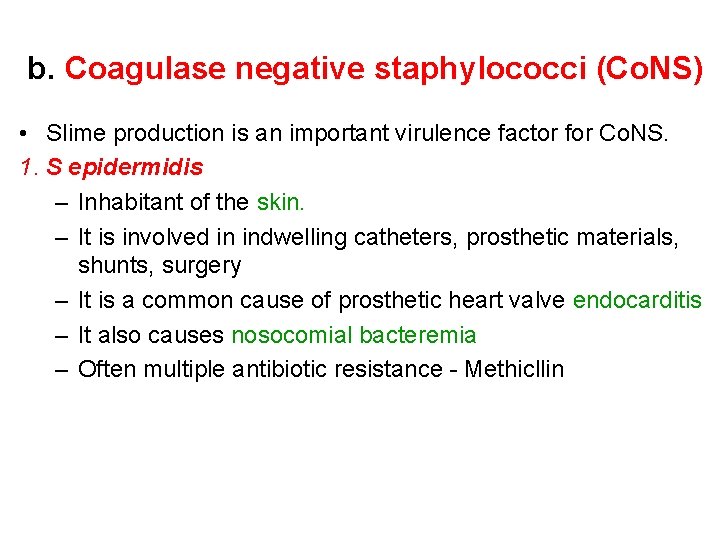 b. Coagulase negative staphylococci (Co. NS) • Slime production is an important virulence factor