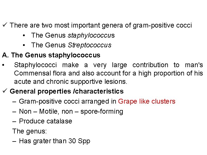 ü There are two most important genera of gram-positive cocci • The Genus staphylococcus