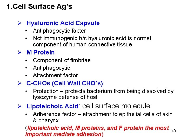 1. Cell Surface Ag’s Ø Hyaluronic Acid Capsule • Antiphagocytic factor • Not immunogenic
