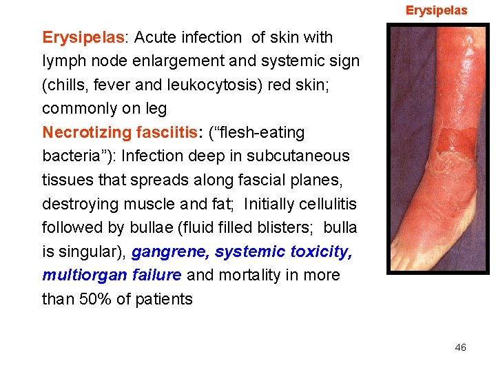 Erysipelas: Acute infection of skin with lymph node enlargement and systemic sign (chills, fever