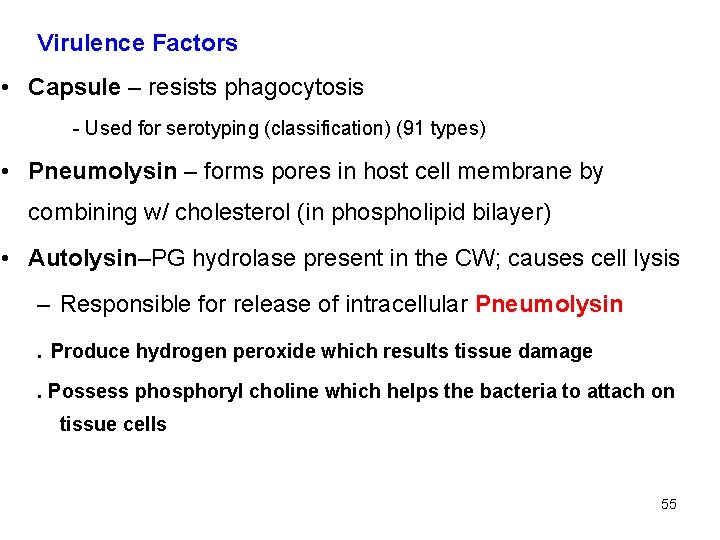 Virulence Factors • Capsule – resists phagocytosis - Used for serotyping (classification) (91 types)