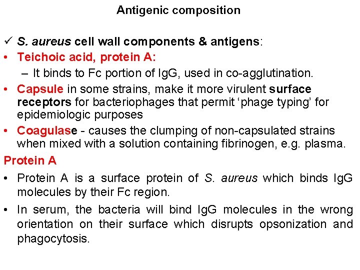 Antigenic composition ü S. aureus cell wall components & antigens: • Teichoic acid, protein