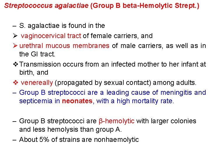 Streptococcus agalactiae (Group B beta-Hemolytic Strept. ) – S. agalactiae is found in the