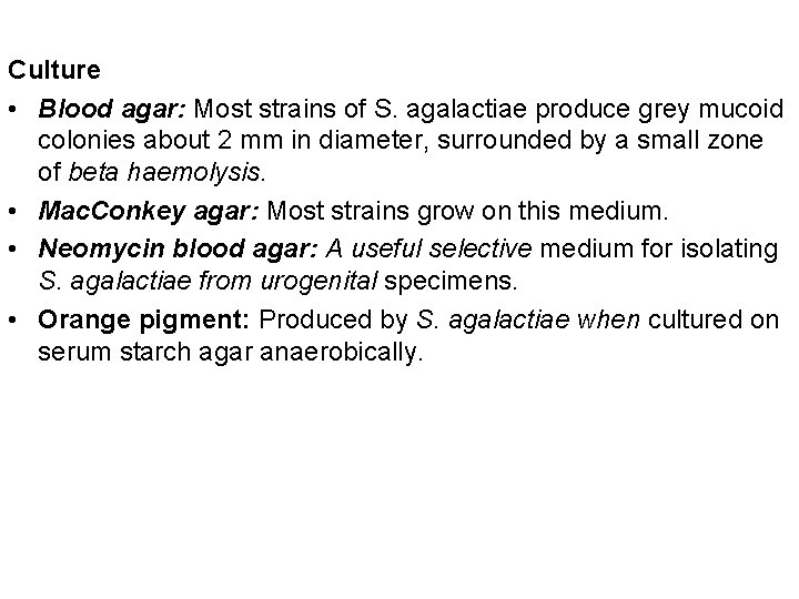 Culture • Blood agar: Most strains of S. agalactiae produce grey mucoid colonies about