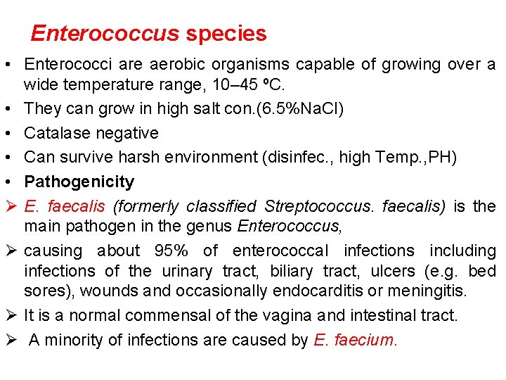 Enterococcus species • Enterococci are aerobic organisms capable of growing over a wide temperature