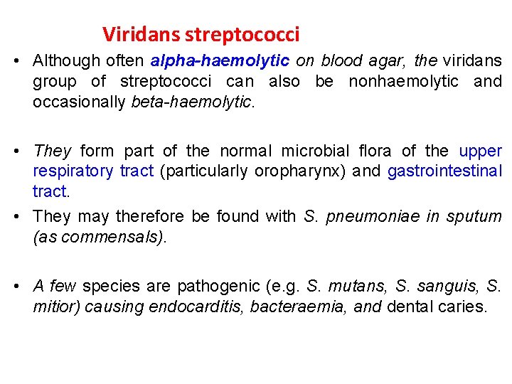 Viridans streptococci • Although often alpha-haemolytic on blood agar, the viridans group of streptococci