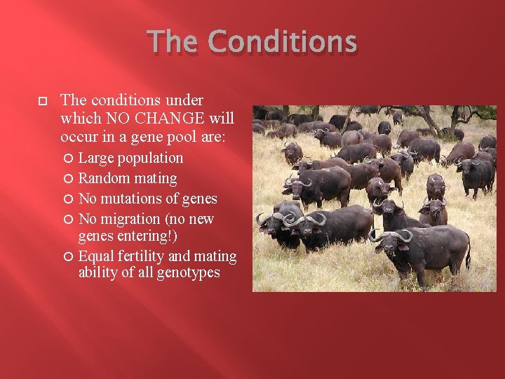 The Conditions The conditions under which NO CHANGE will occur in a gene pool