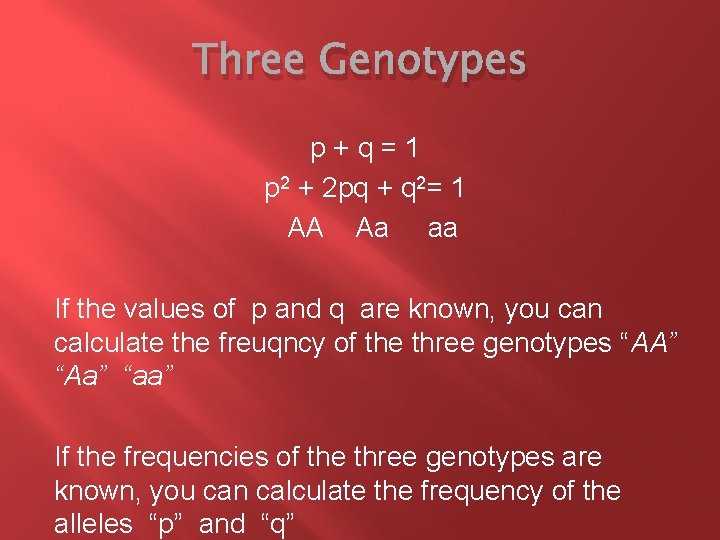 Three Genotypes p+q=1 p 2 + 2 pq + q 2= 1 AA Aa