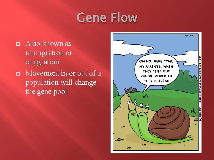 Gene Flow Also known as immigration or emigration Movement in or out of a