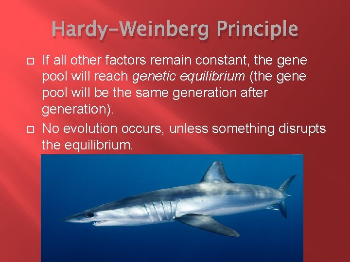 Hardy-Weinberg Principle If all other factors remain constant, the gene pool will reach genetic