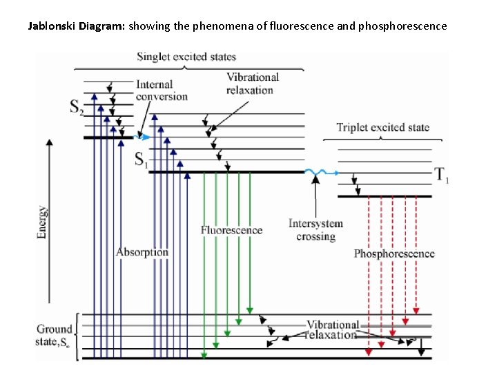 Jablonski Diagram: showing the phenomena of fluorescence and phosphorescence 