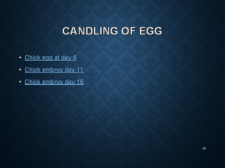 CANDLING OF EGG • Chick egg at day 6 • Chick embryo day 11