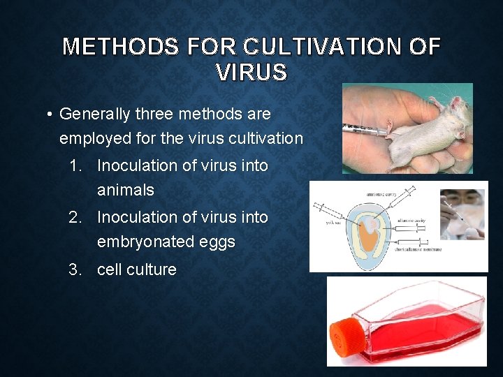 METHODS FOR CULTIVATION OF VIRUS • Generally three methods are employed for the virus