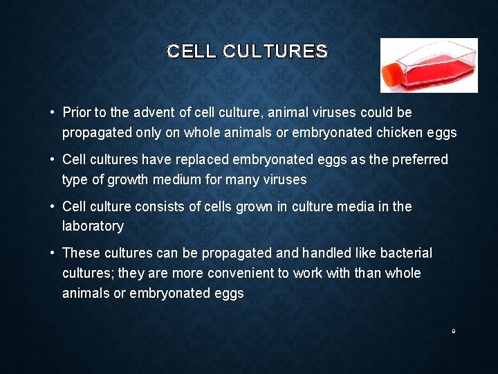CELL CULTURES • Prior to the advent of cell culture, animal viruses could be