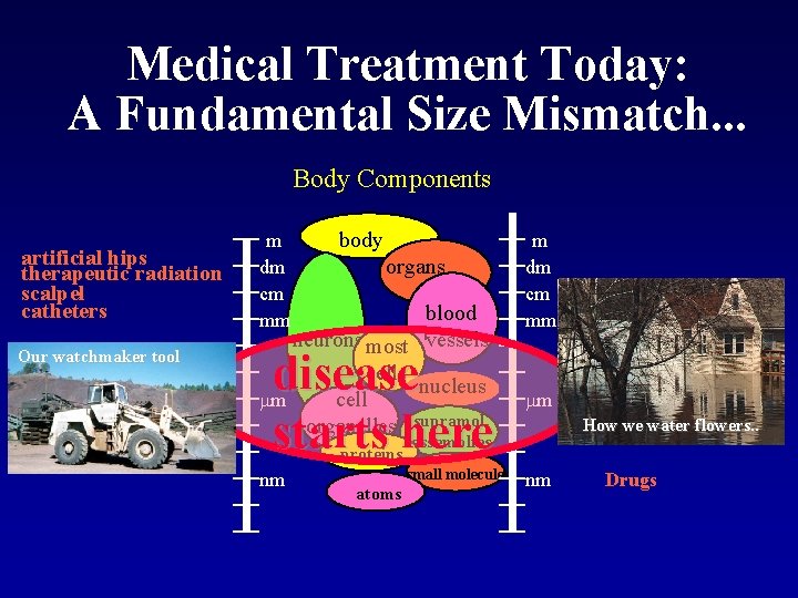 Medical Treatment Today: A Fundamental Size Mismatch. . . Body Components artificial hips therapeutic