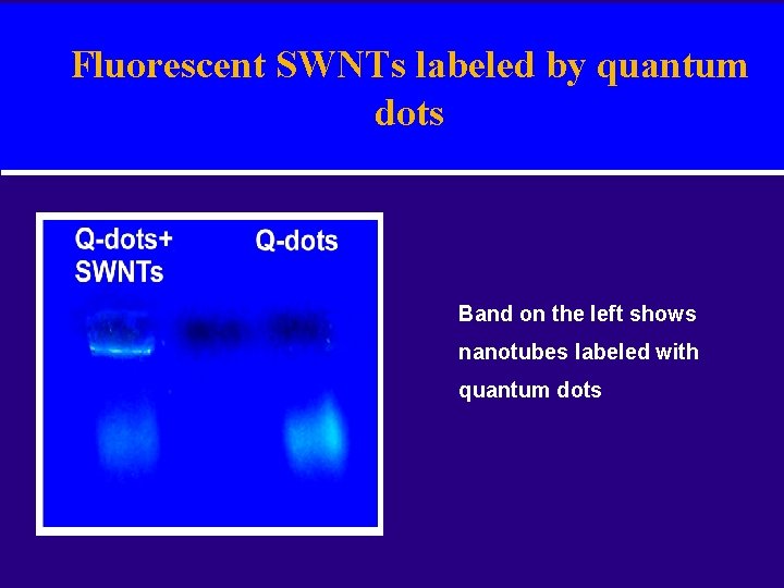 Fluorescent SWNTs labeled by quantum dots Band on the left shows nanotubes labeled with