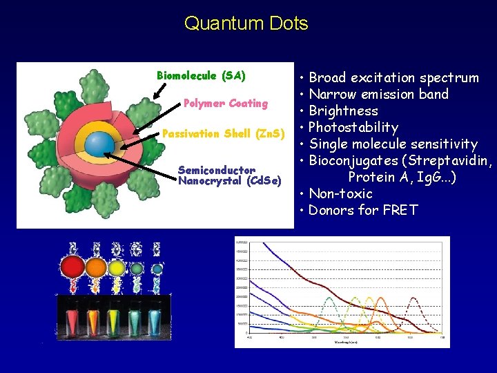 Quantum Dots Biomolecule (SA) Polymer Coating Passivation Shell (Zn. S) Semiconductor Nanocrystal (Cd. Se)
