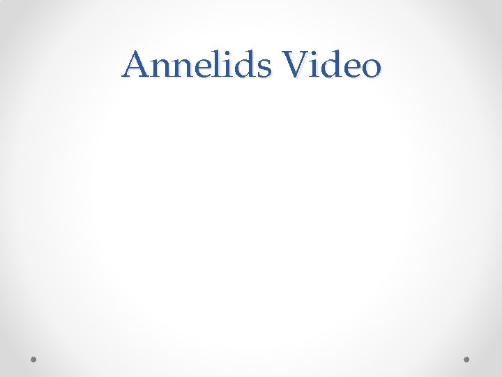 Annelids Video 