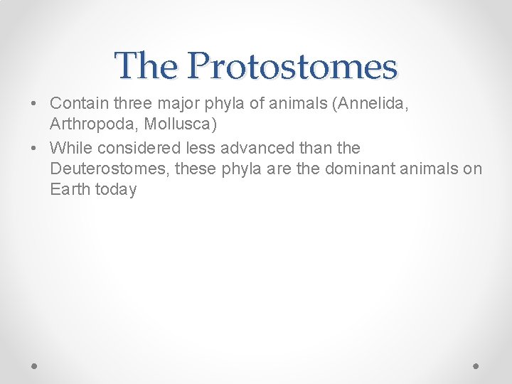 The Protostomes • Contain three major phyla of animals (Annelida, Arthropoda, Mollusca) • While