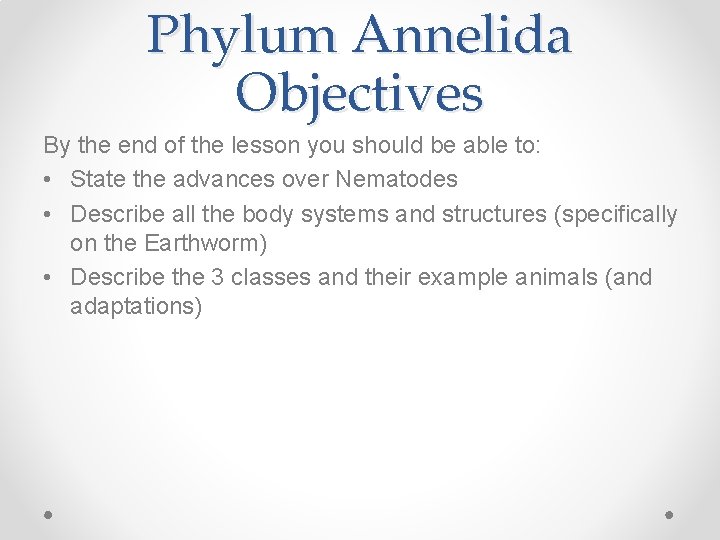 Phylum Annelida Objectives By the end of the lesson you should be able to: