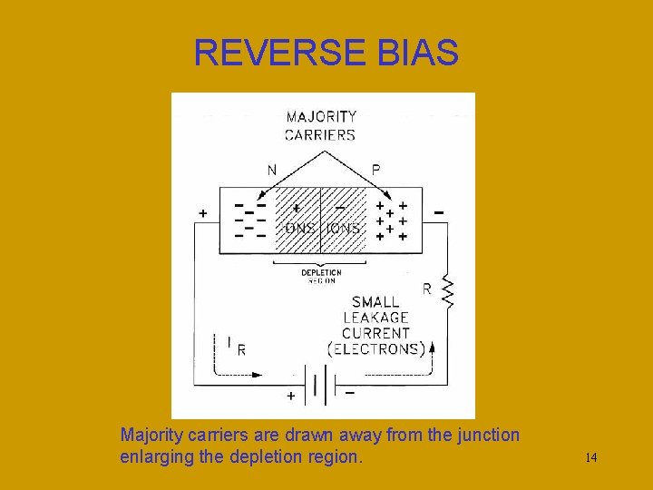 REVERSE BIAS Majority carriers are drawn away from the junction enlarging the depletion region.