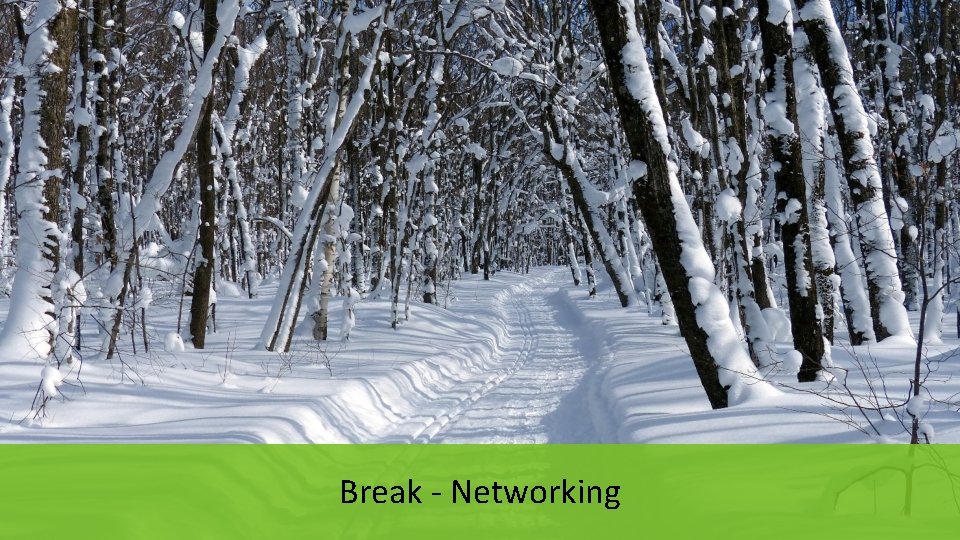 Break - Networking 