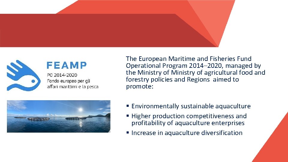 The European Maritime and Fisheries Fund Operational Program 2014– 2020, managed by the Ministry