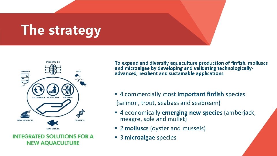 The strategy To expand diversify aquaculture production of finfish, molluscs and microalgae by developing